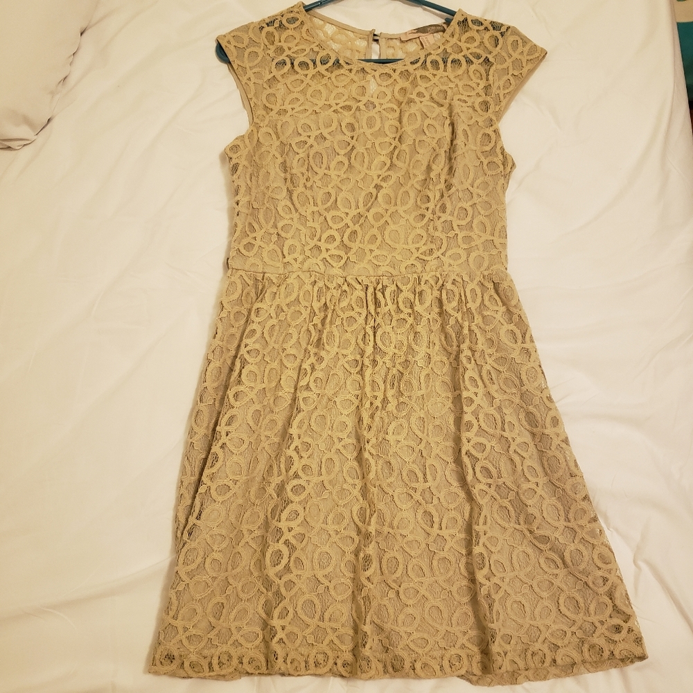 Lace dress